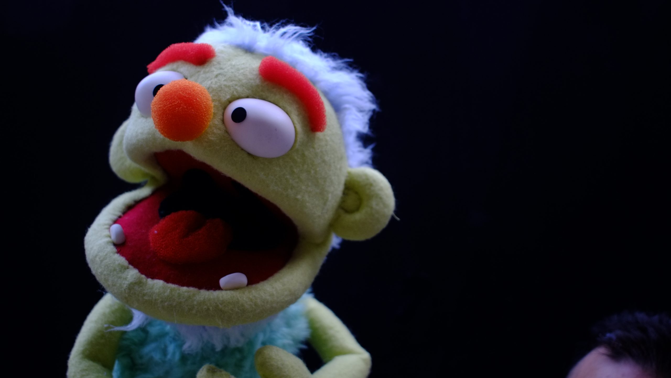 cursos-04 Cursos The Root Puppets